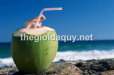 12-chom-sao-giong-loai-do-uong-nao