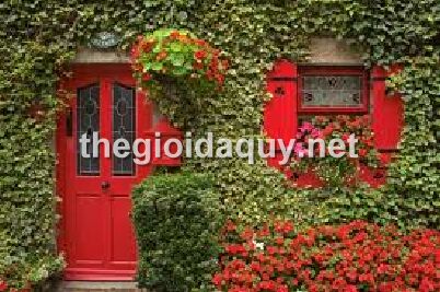 sac-mau-theo-phong-thuy-cho-cua-ra-vao