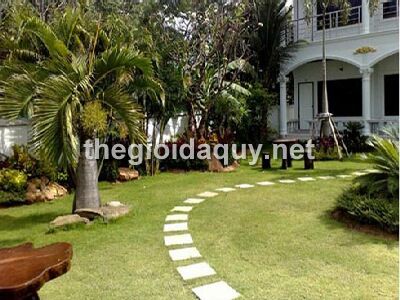 co-nen-lat-da-ca-san-vuon