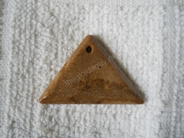 Mặt tam giác gỗ hoá thạch