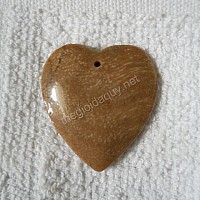 Mặt trái tim gỗ hoá thạch