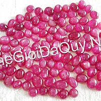Cá đầu Rồng đá Ruby
