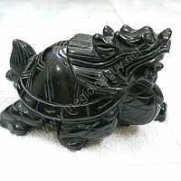 Long quy đá đen