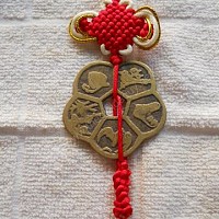 Tien hoa mai